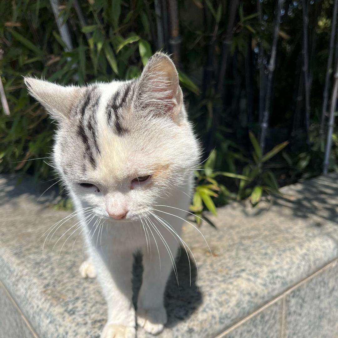 你好