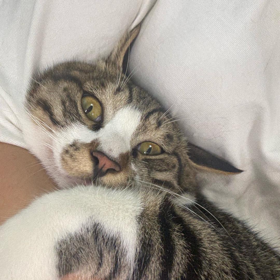 老郑