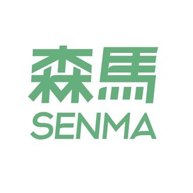 SENMA森马渃恩男鞋专卖店