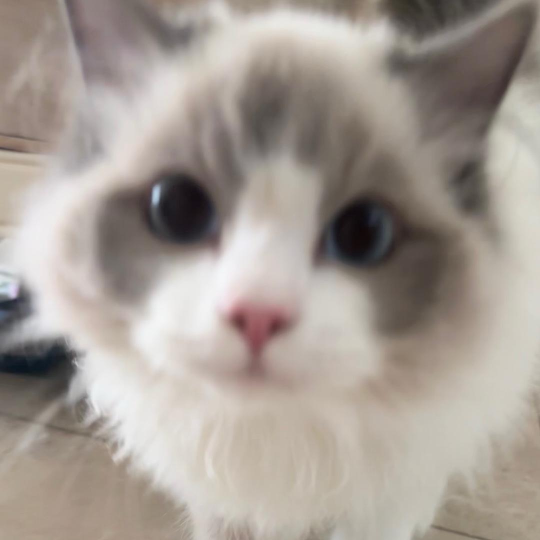 昭牌溏心蛋