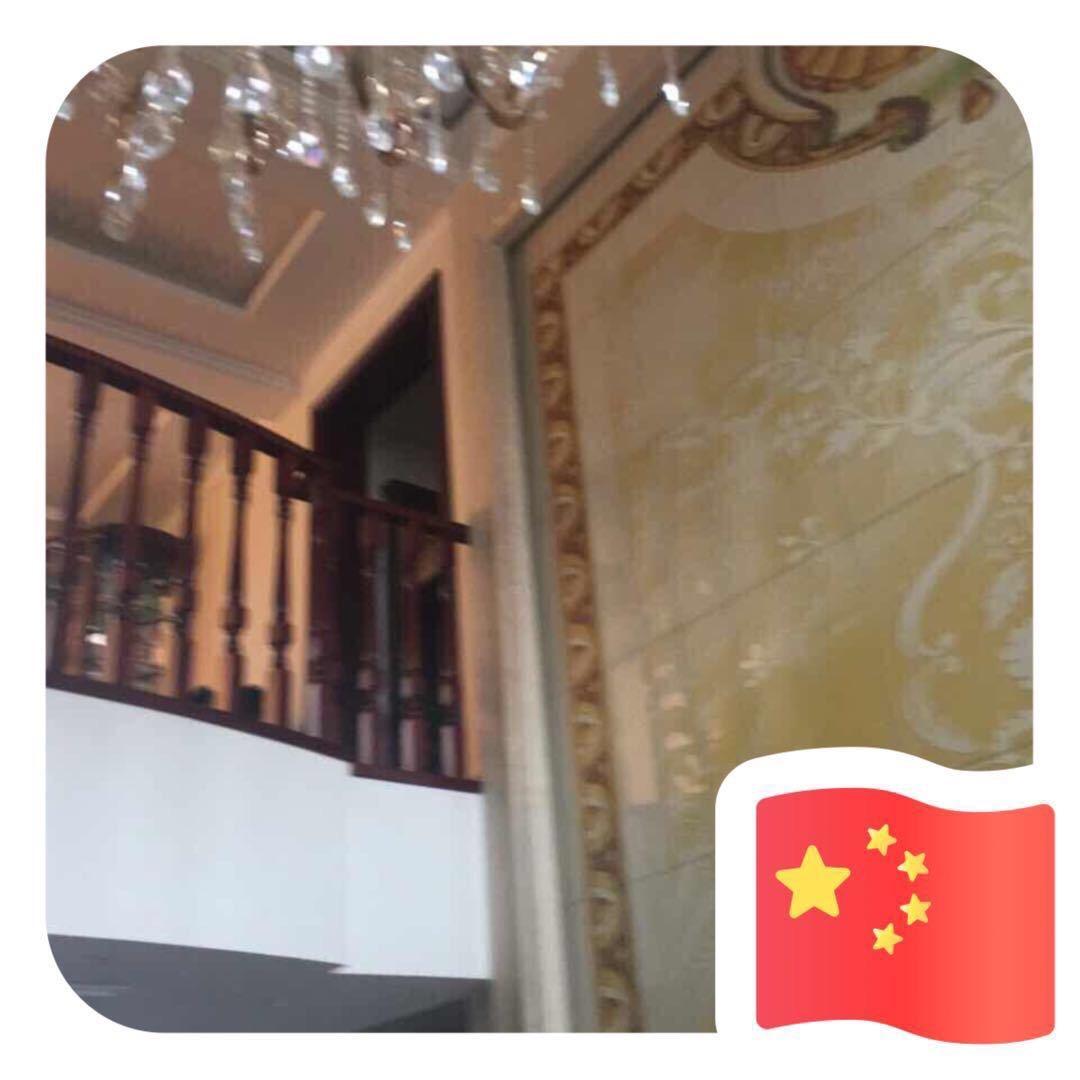 独宠可拉鹿