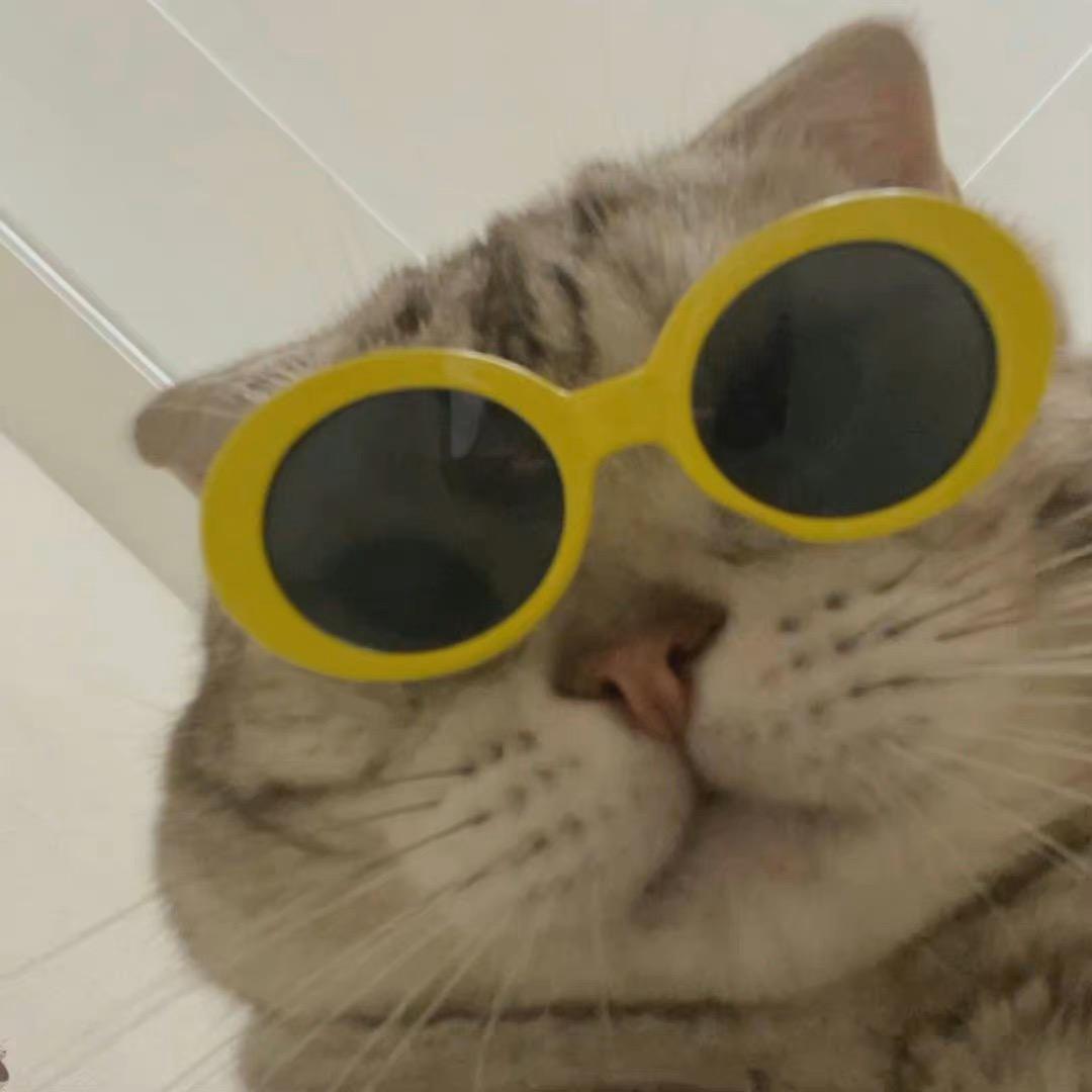 ✨