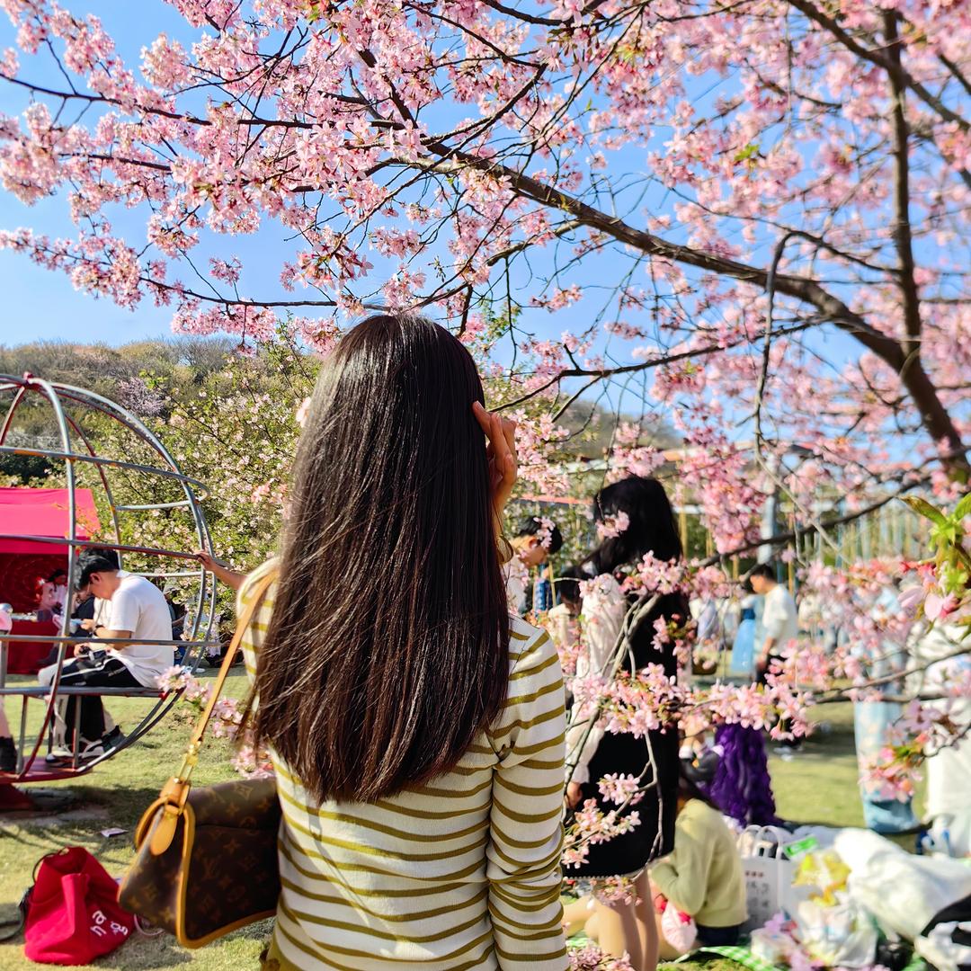 河南～花花🍀