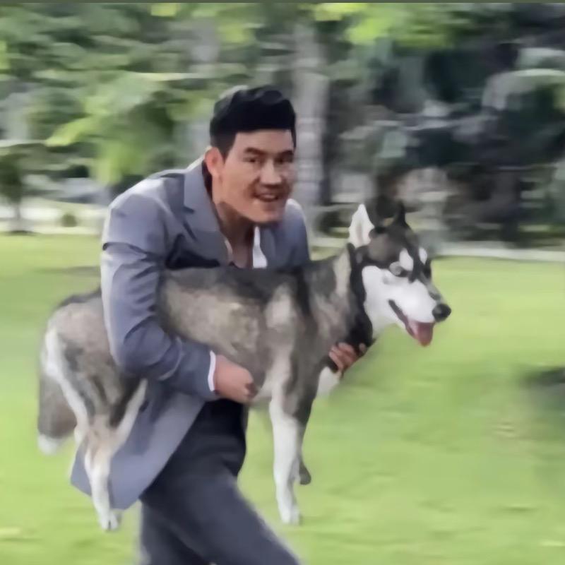 专业偷狗