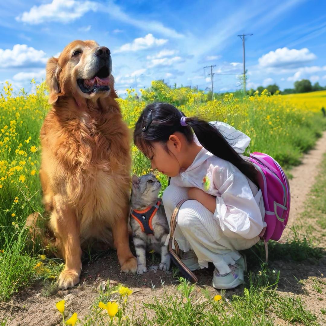 小金库☼
