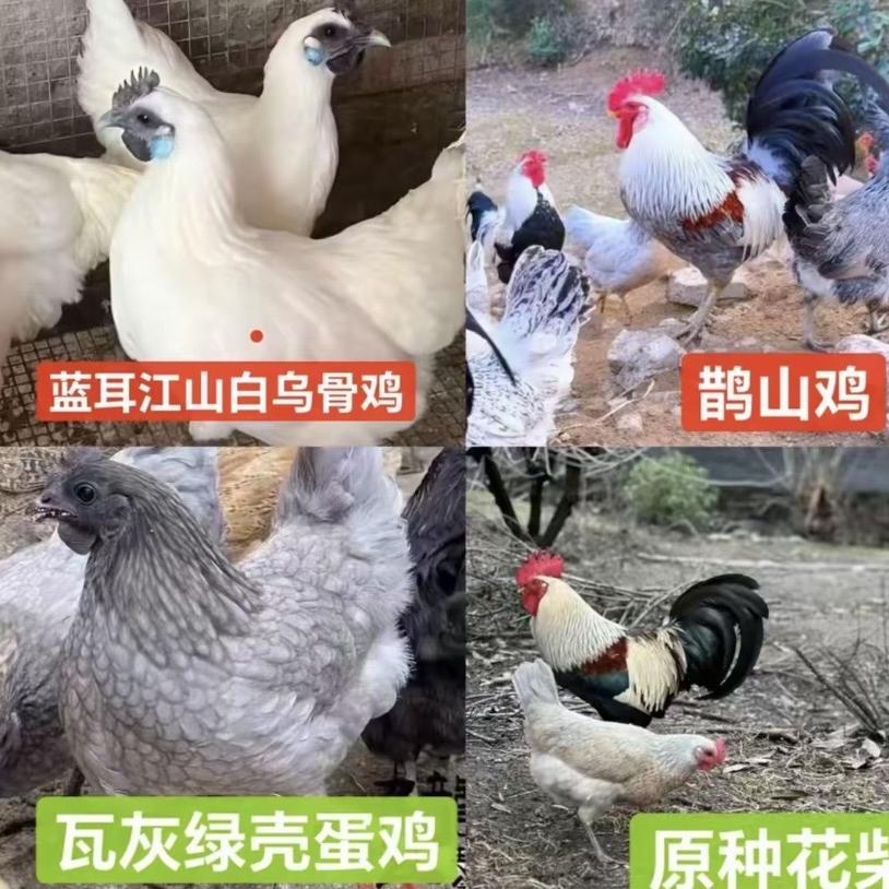 云源润商贸优品小铺