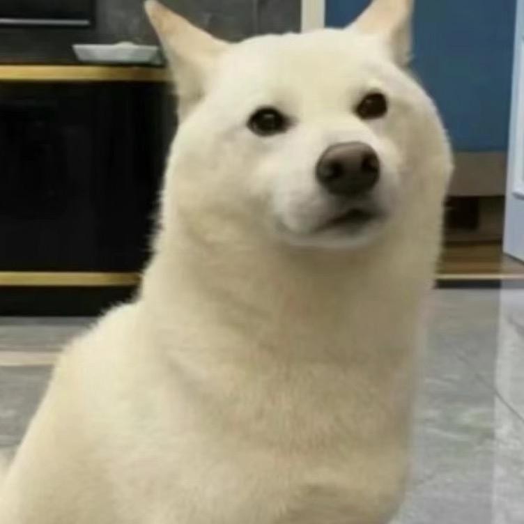 邪恶天堂鸟
