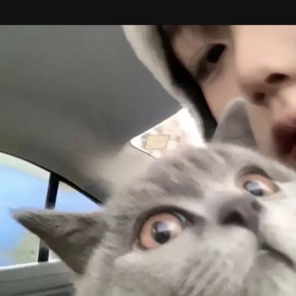 啾啾^_^