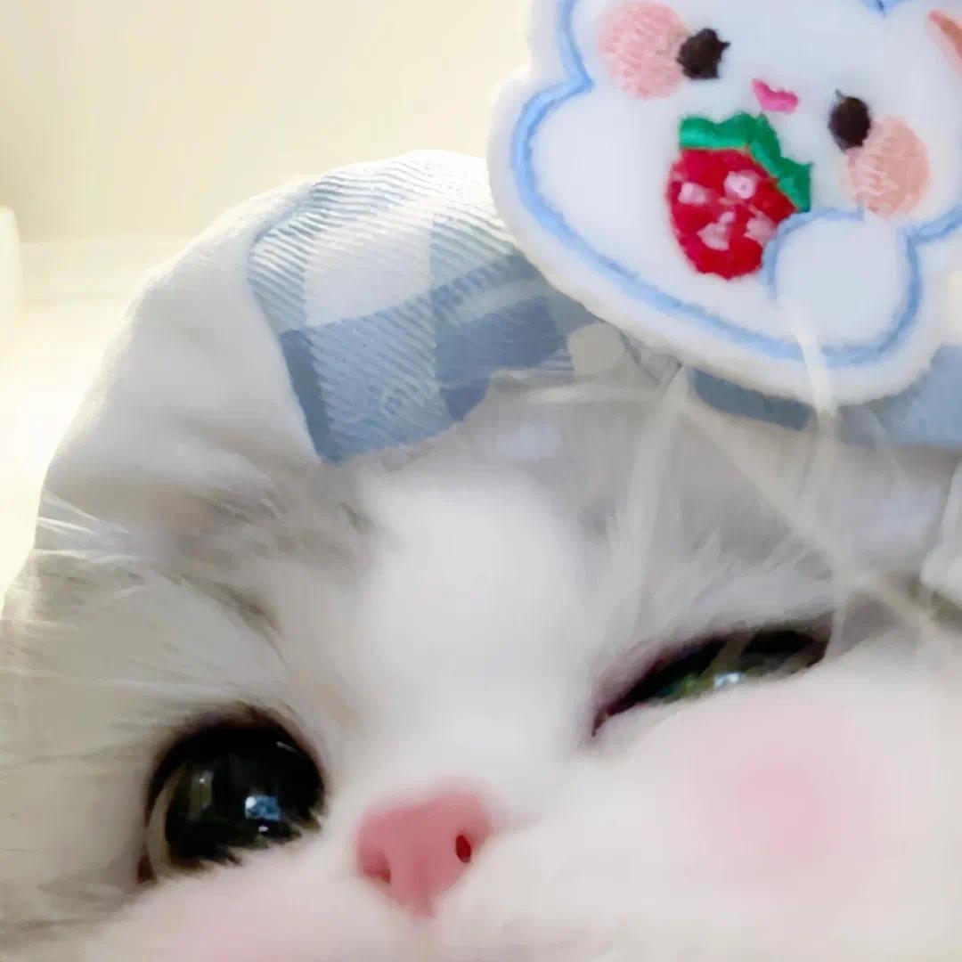 徐凤年