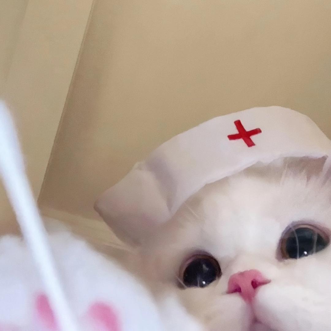 蓝宝然然