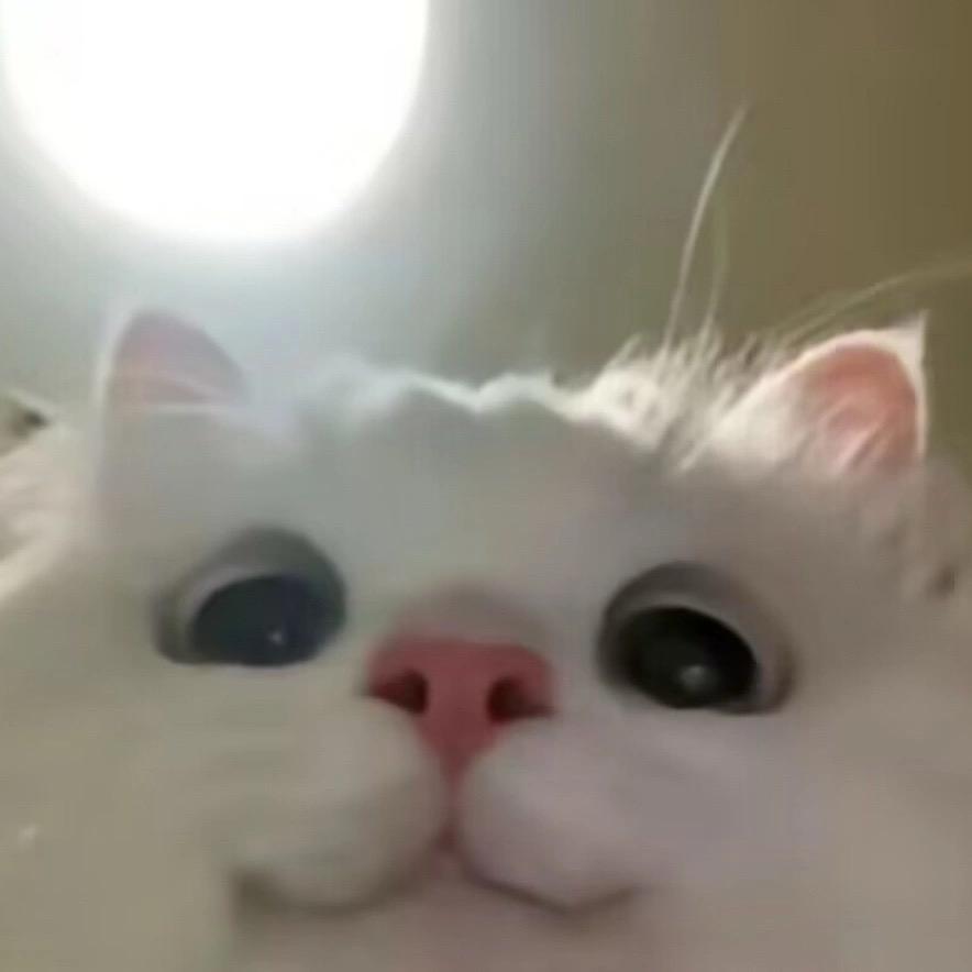 枫～