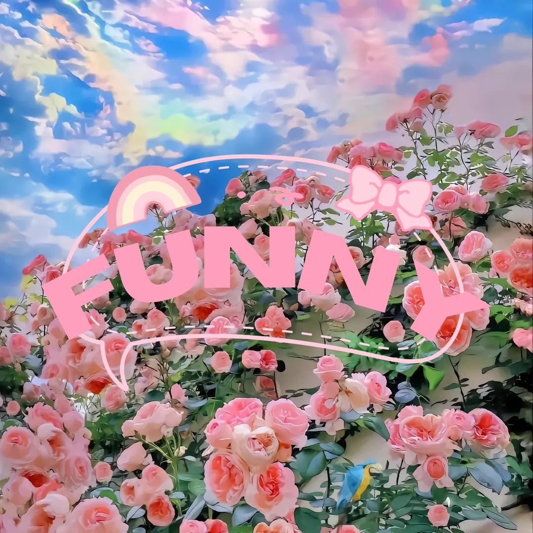 Funny无二手作
