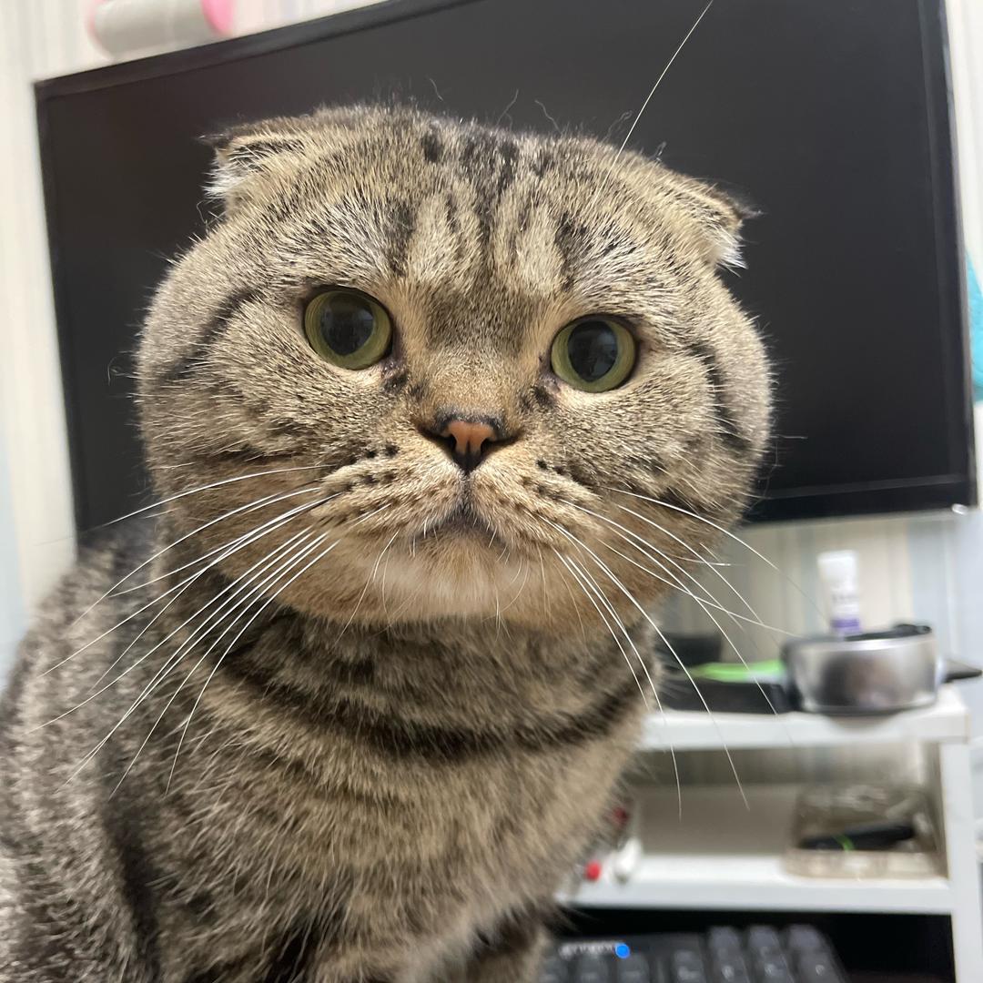 明明就是我