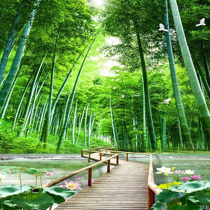 老师谈养