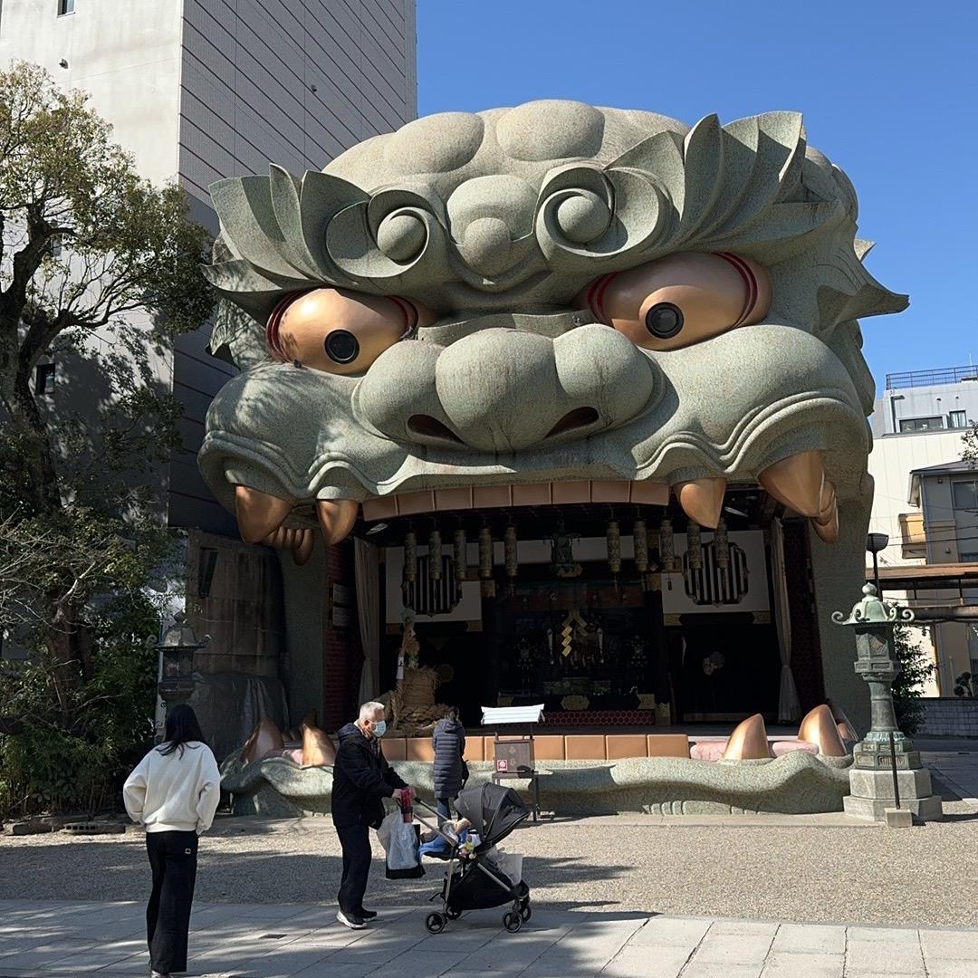 高懒懒的生活手记