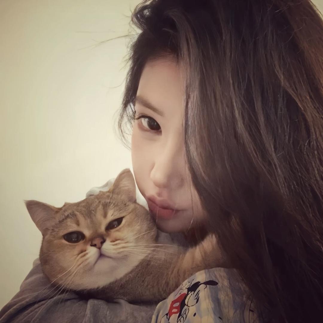 鱼儿.