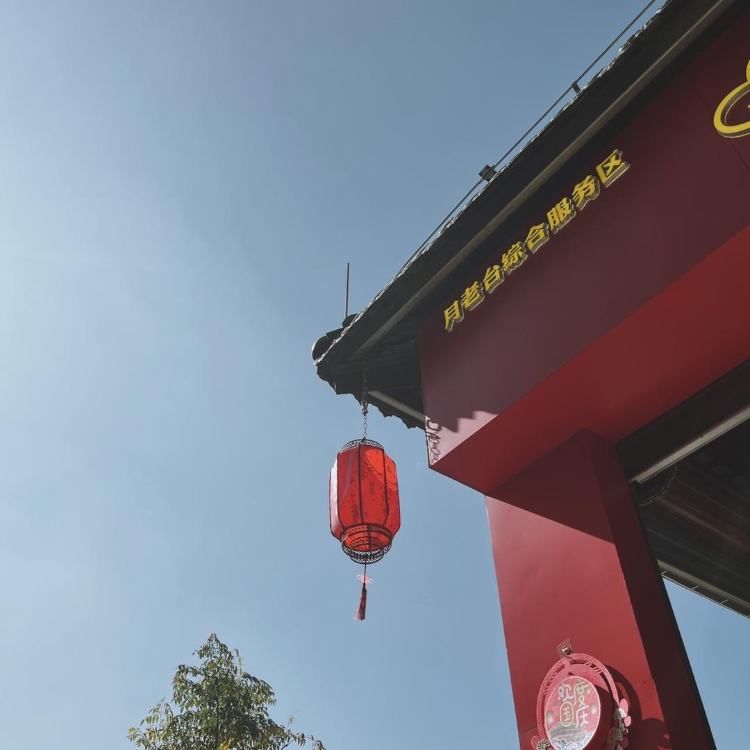 路肴