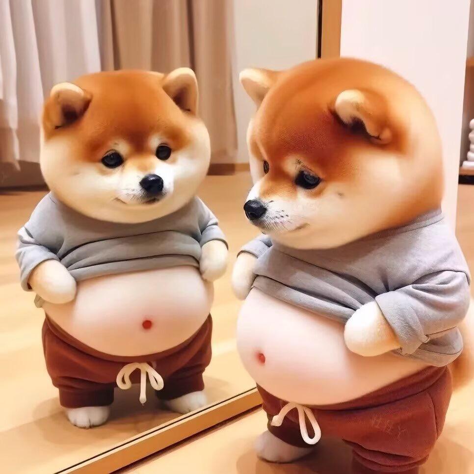 ࿐: ᨳᤢ້໌ᮩᤣ手拿奶瓶去逛街，໊ɞ᭄