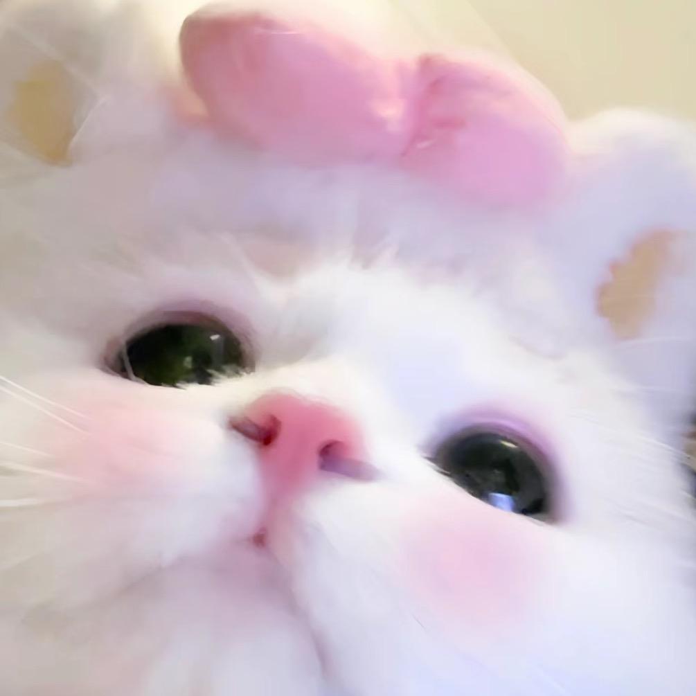 小新脸不圆