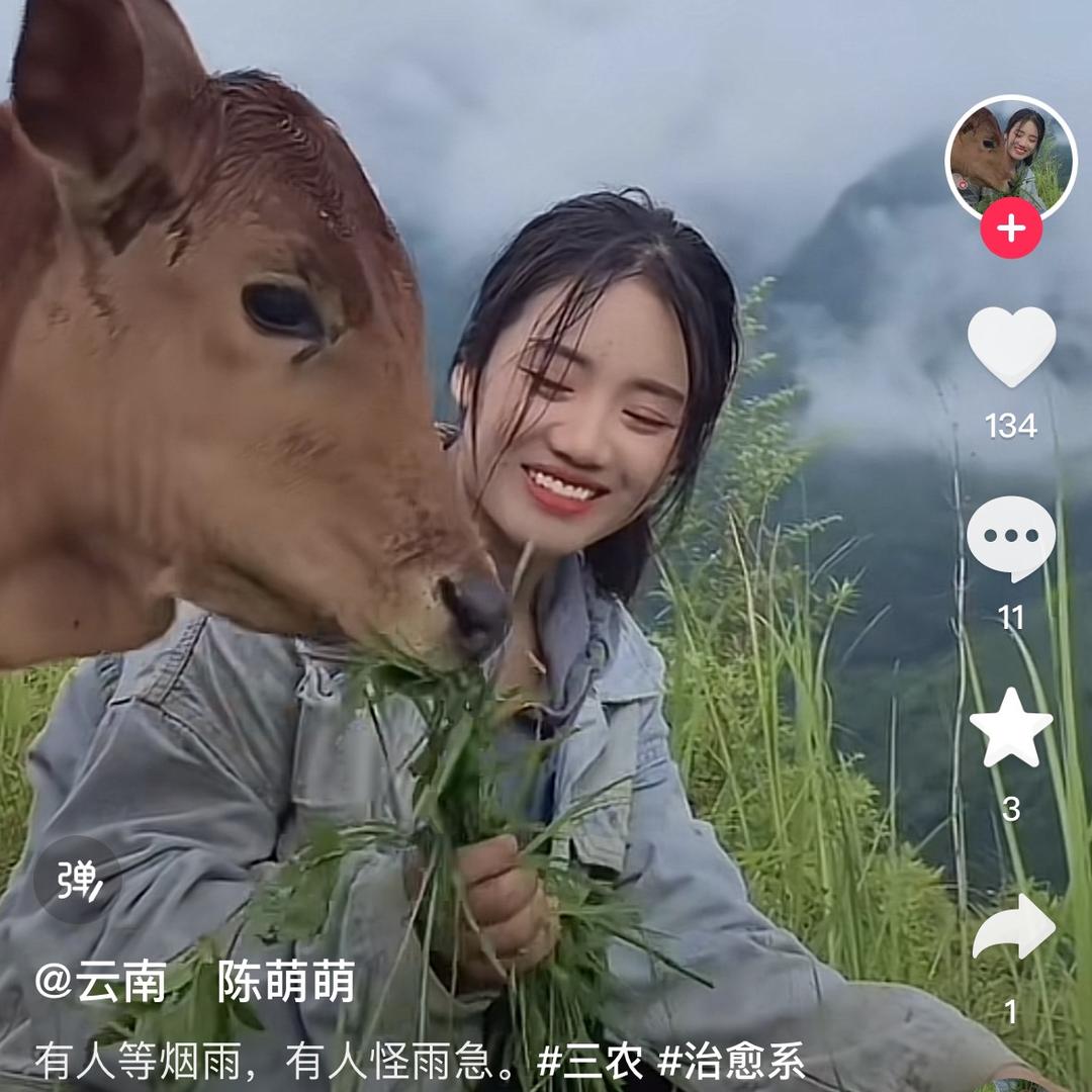 陈萌萌❤️
