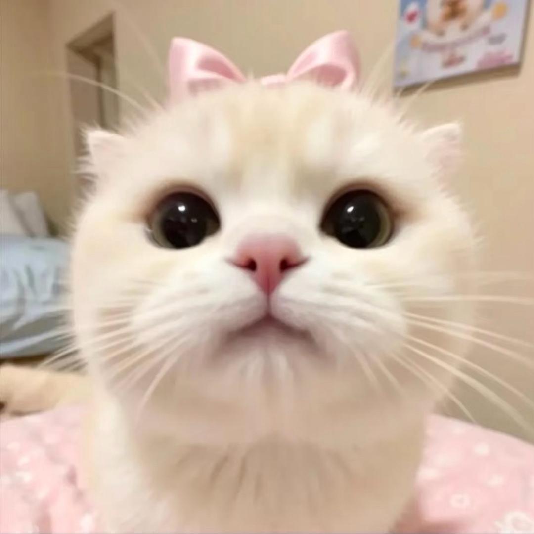 鱼大王