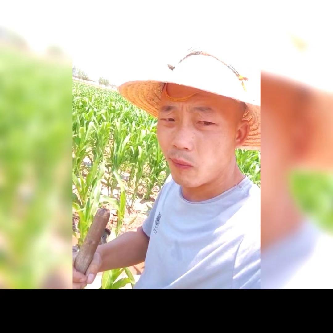 涛小涛
