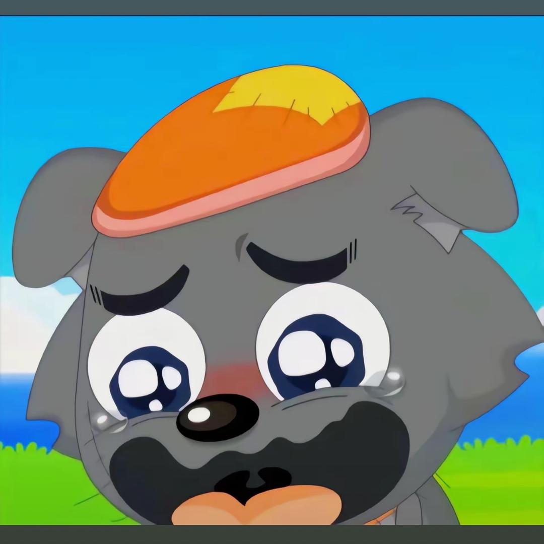 伤心的灰太狼🤕