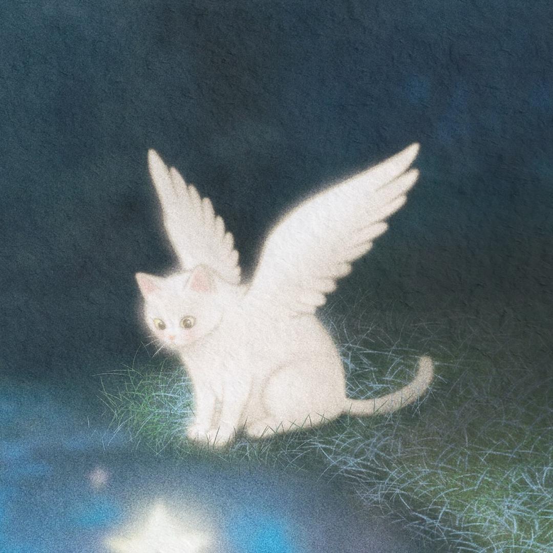 一只眠