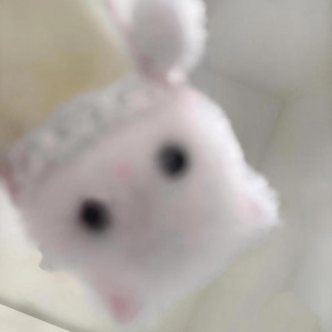 洗了蒜了