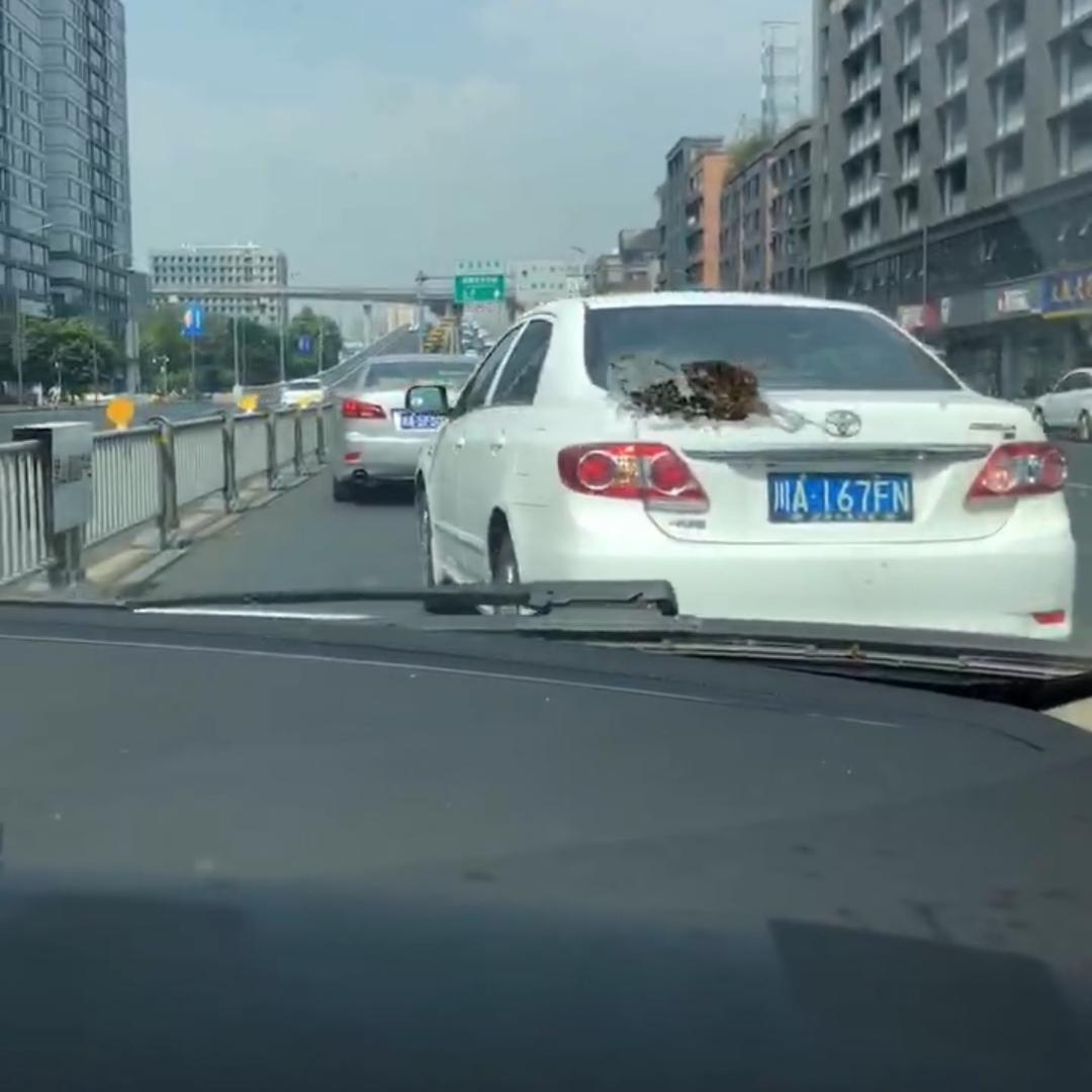 云姐♥️曳舞🔥