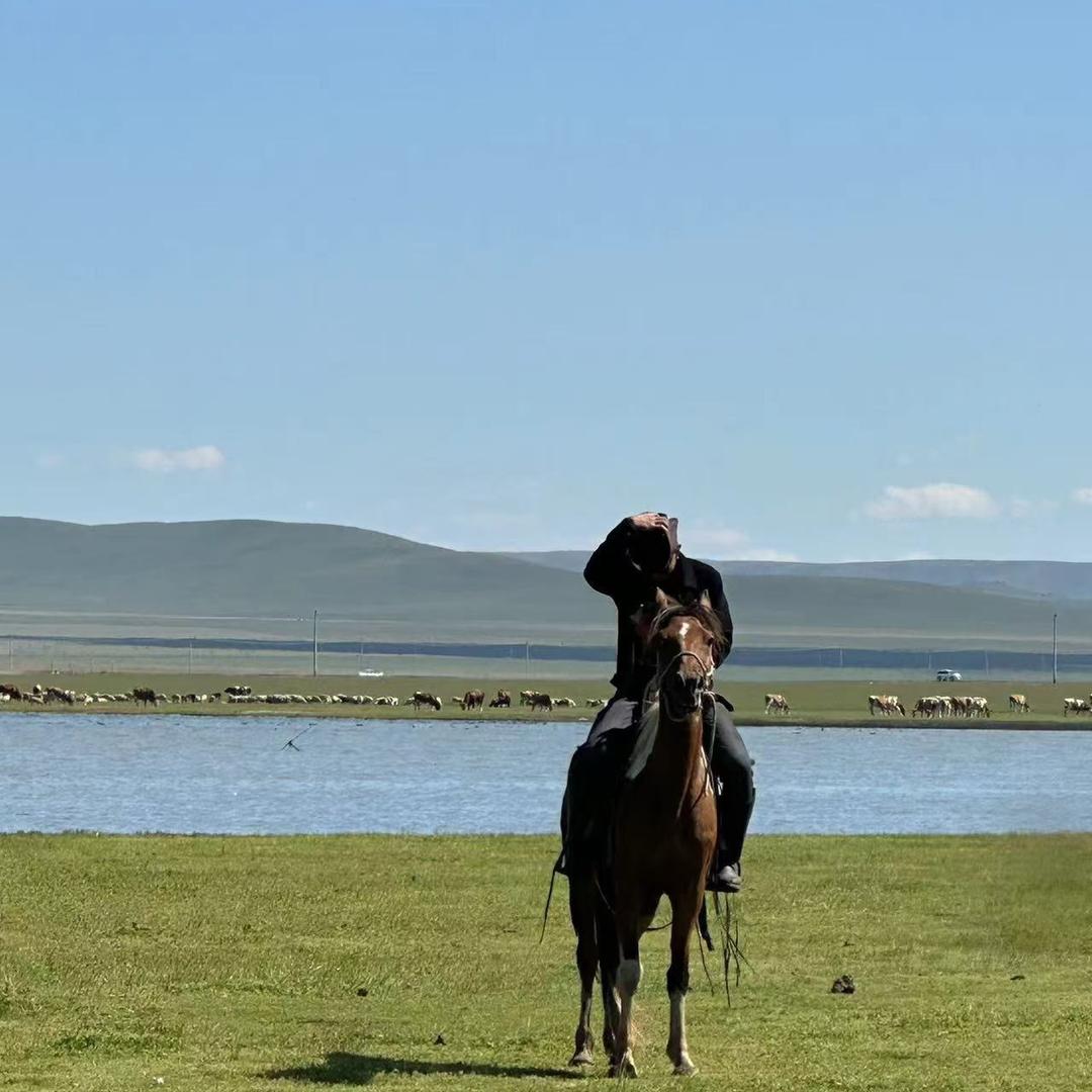 占得人间第一春