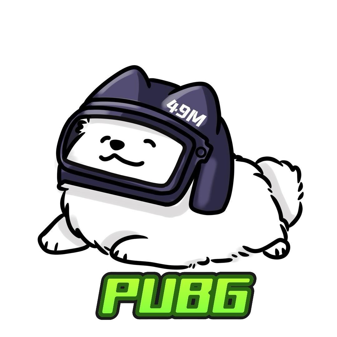 49M（PUBG）