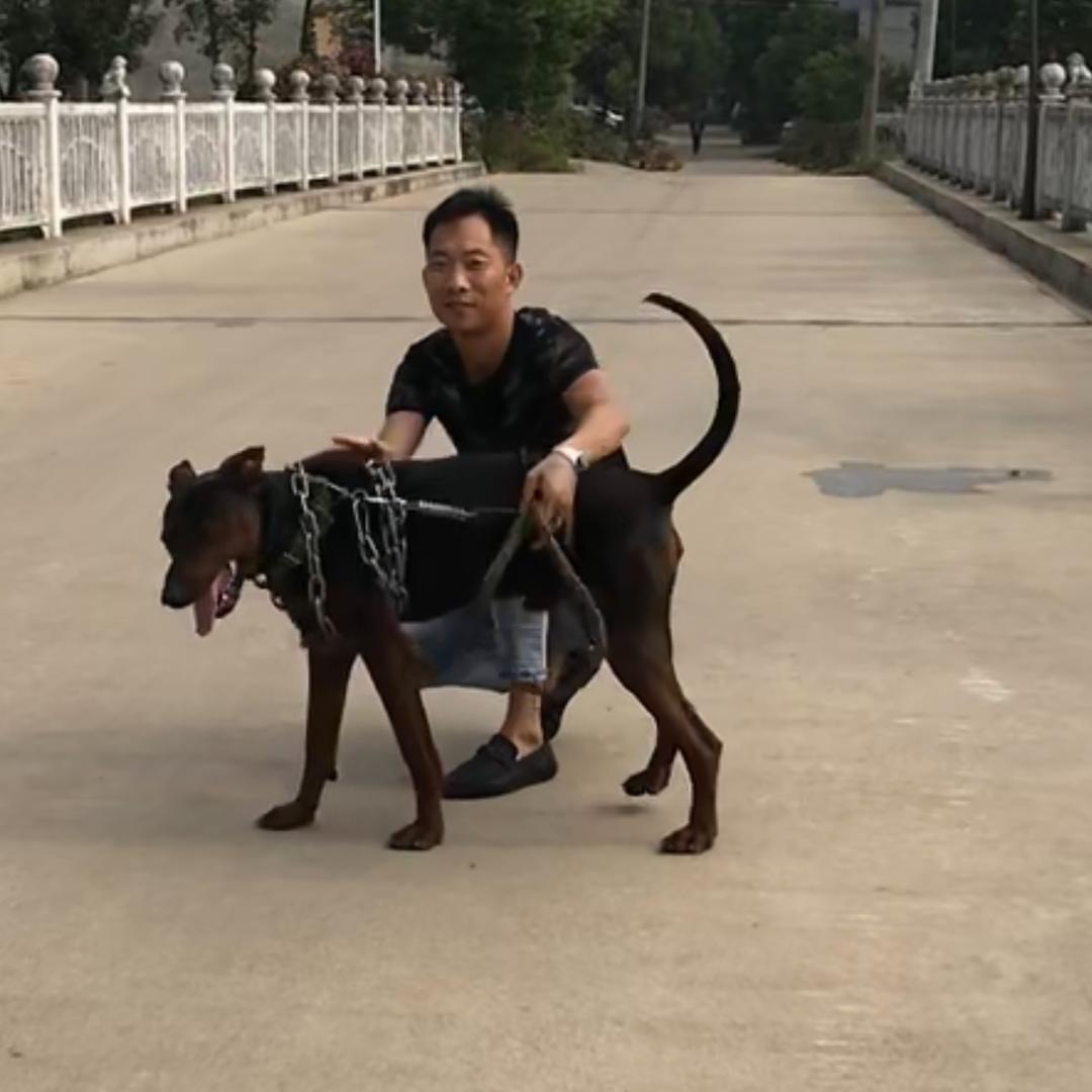 关于熊总