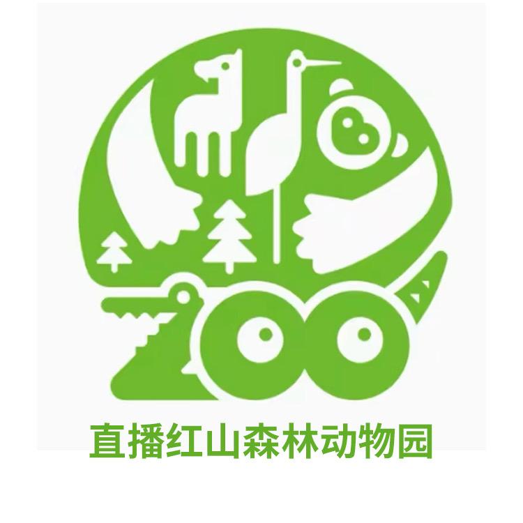 直播南京红山森林动物园