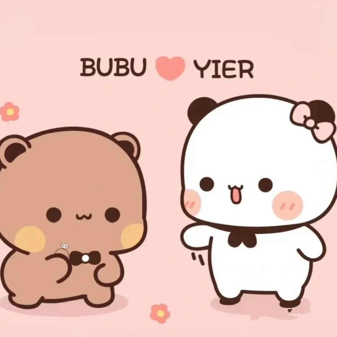布布爱❤️一二