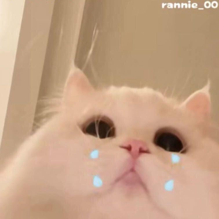 林33