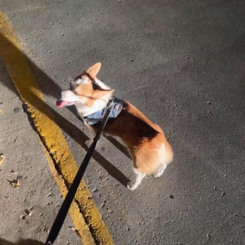 爷爷