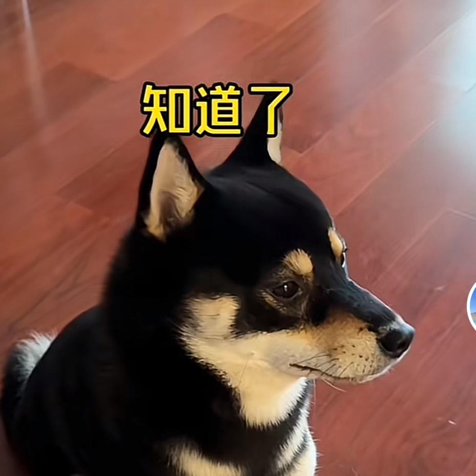 我是郭郭呀
