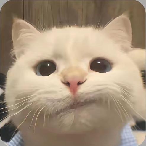 梁子不演了