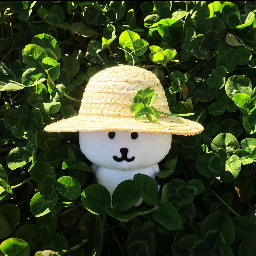 阖