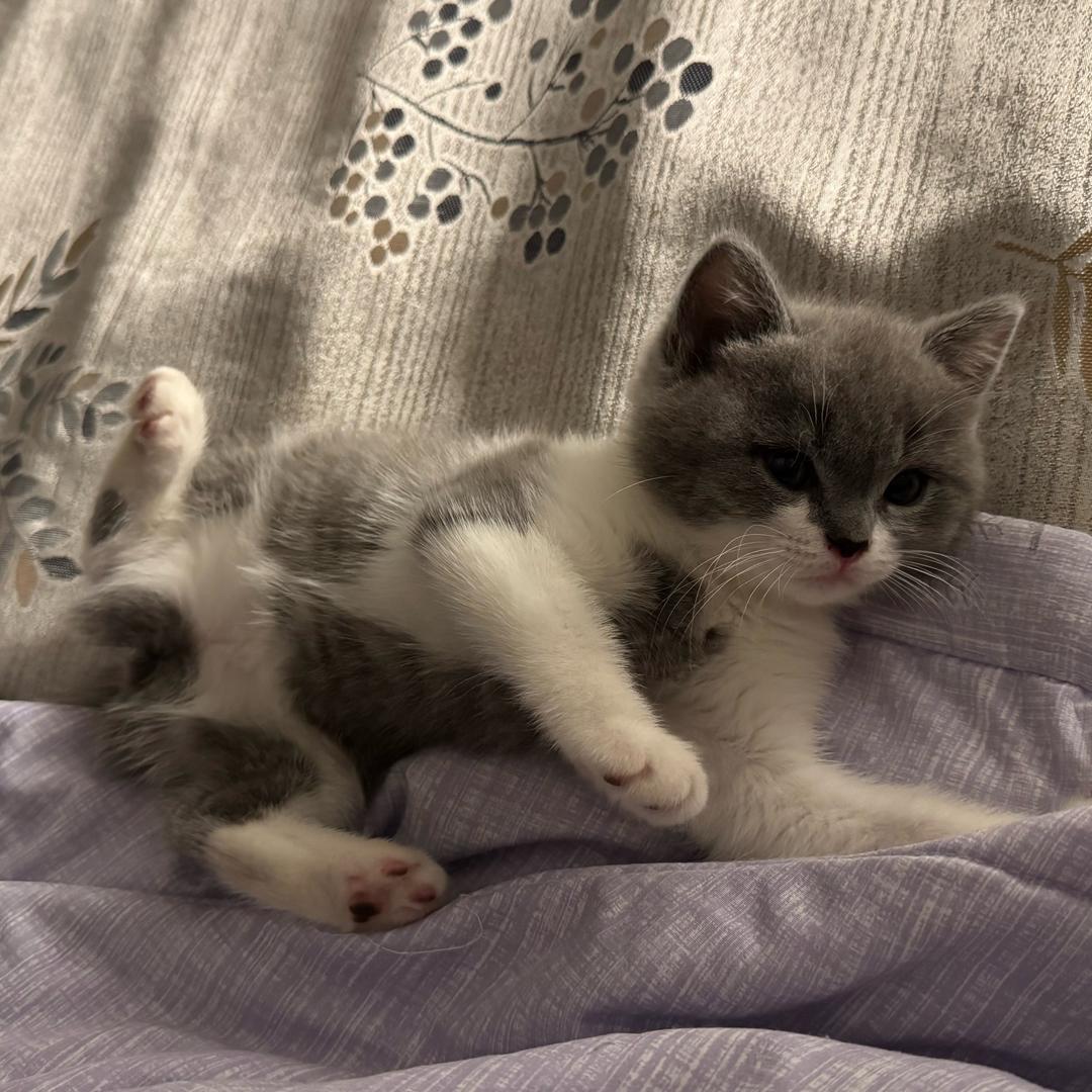 深海迷茫 ˗ˋˏᰔᩚˎˊ˗