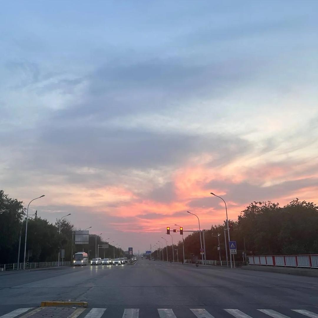 热心的网友