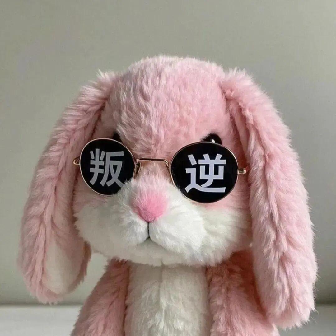 吉利布丁🐰