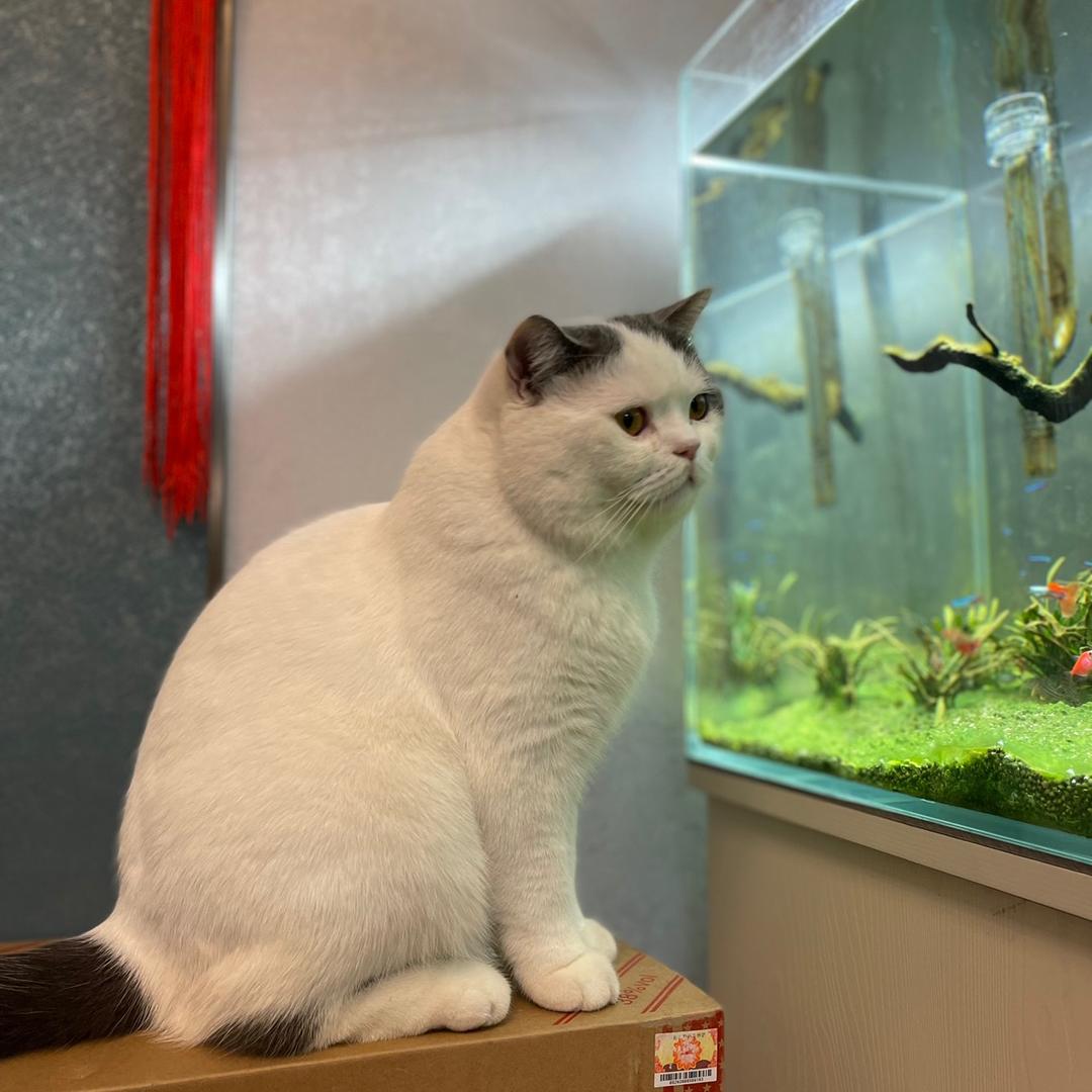 岁月如流望平安