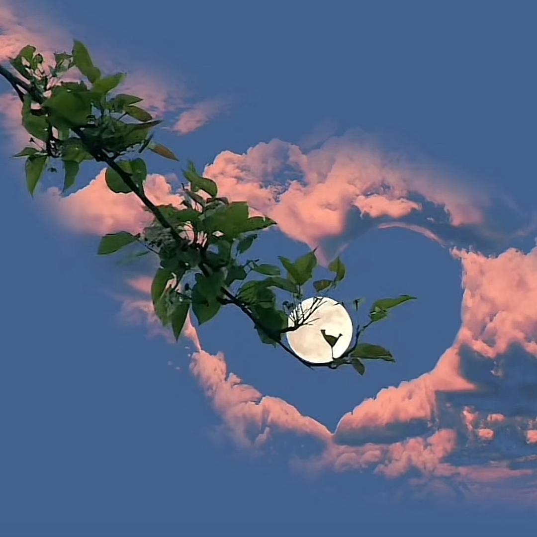 (˃ ⌑ ˂ഃ )