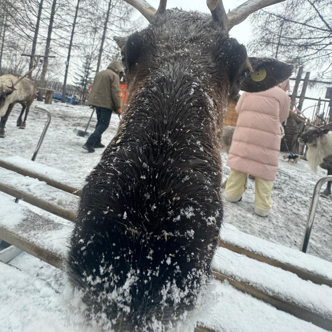 雨龙领队在东北