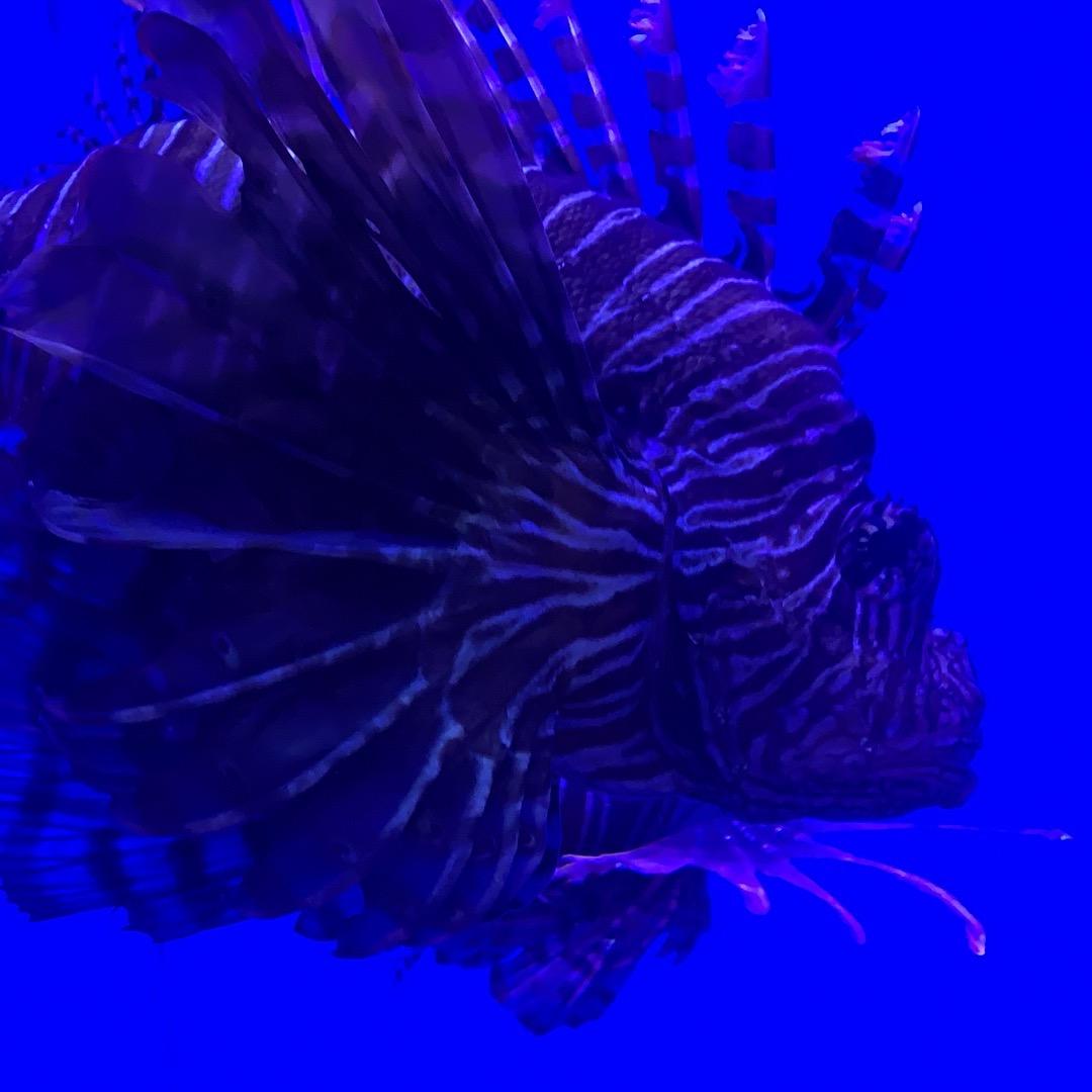 可萱服装生活坊