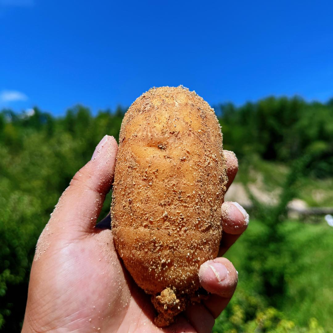 九源麻记农鲜优品