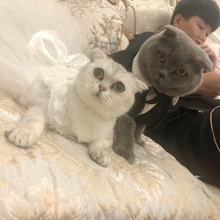 主子们的日常🐱🐶