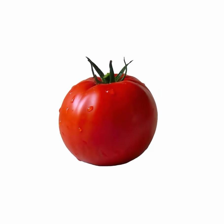 番茄玩文明🍅